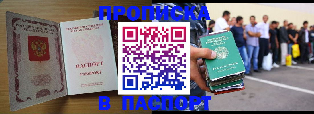 форма 3 в Мурманской области